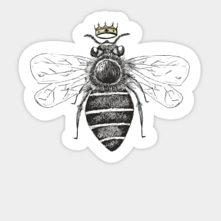 Queen Bee sticker-Minimalistic designs-Insect stickers- Cute Insects-Cute Stickers Sticker